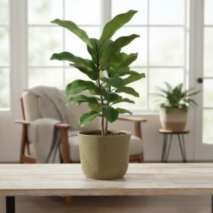 Modern Chevron Planters