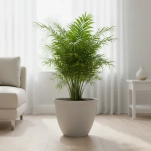 Classic Sandstone Garden Planters