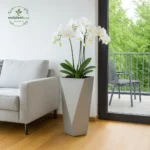 Modern Geometric pot with auto watering system