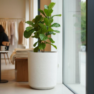 Natural Sandstone Planters